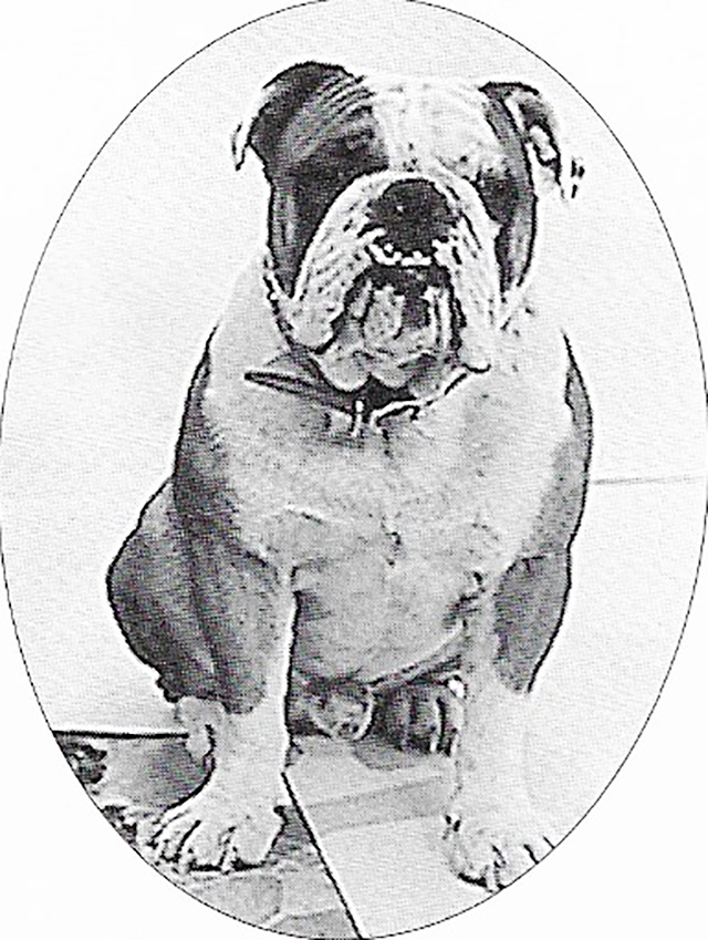 The original Bulldog