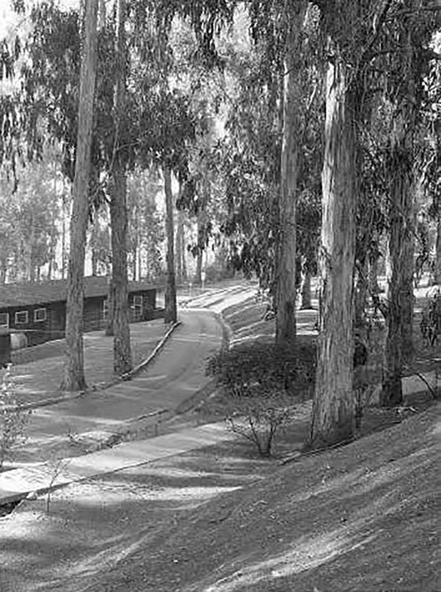 View of the Coyote Point campus
